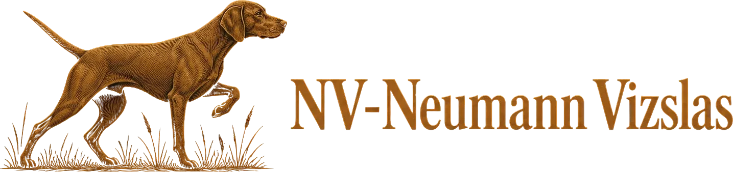 NV Neumann Vizslas